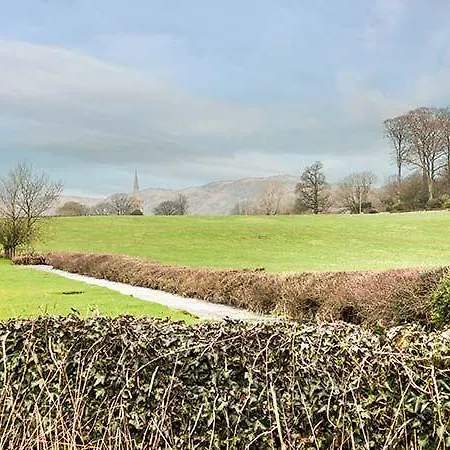3 Low Dog Kennel * High Newton